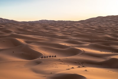 6人骑着骆驼在沙漠

